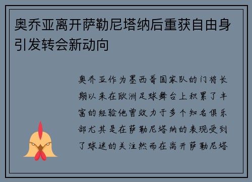 奥乔亚离开萨勒尼塔纳后重获自由身引发转会新动向