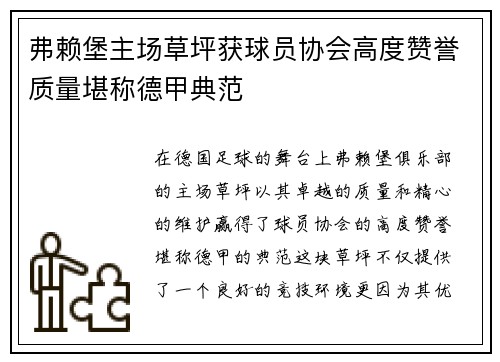 弗赖堡主场草坪获球员协会高度赞誉质量堪称德甲典范