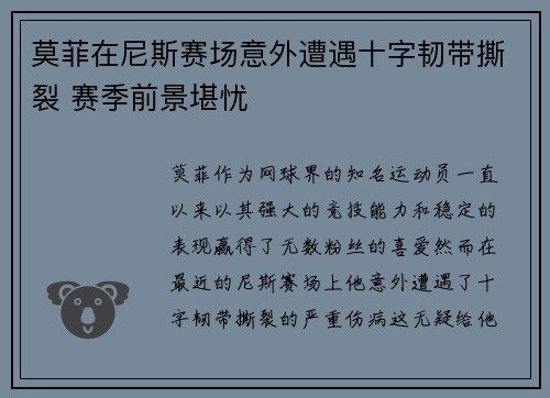 莫菲在尼斯赛场意外遭遇十字韧带撕裂 赛季前景堪忧